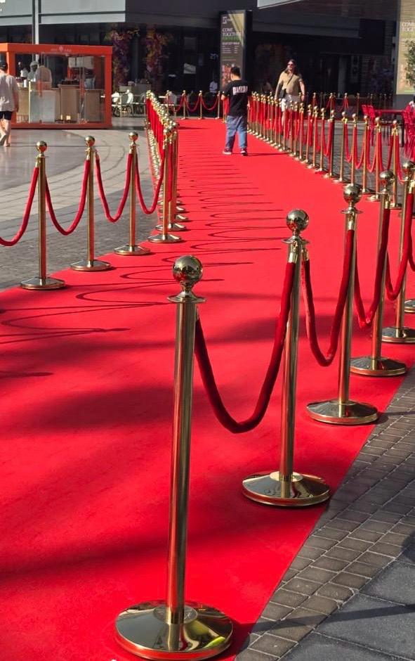 Rope and pole queue barriers at an event